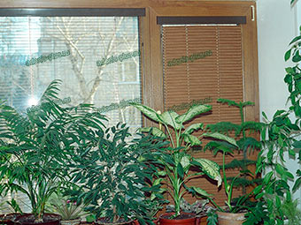 Алюминиевые горизонтальные жалюзи ISOLITE под дерево на окна ПВХ Ульяновск