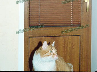 Алюминиевые горизонтальные жалюзи ISOLITE под дерево на окна ПВХ Ульяновск