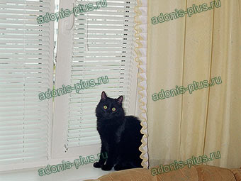 Жалюзи HOLIS на пластиковом окне Ульяновск